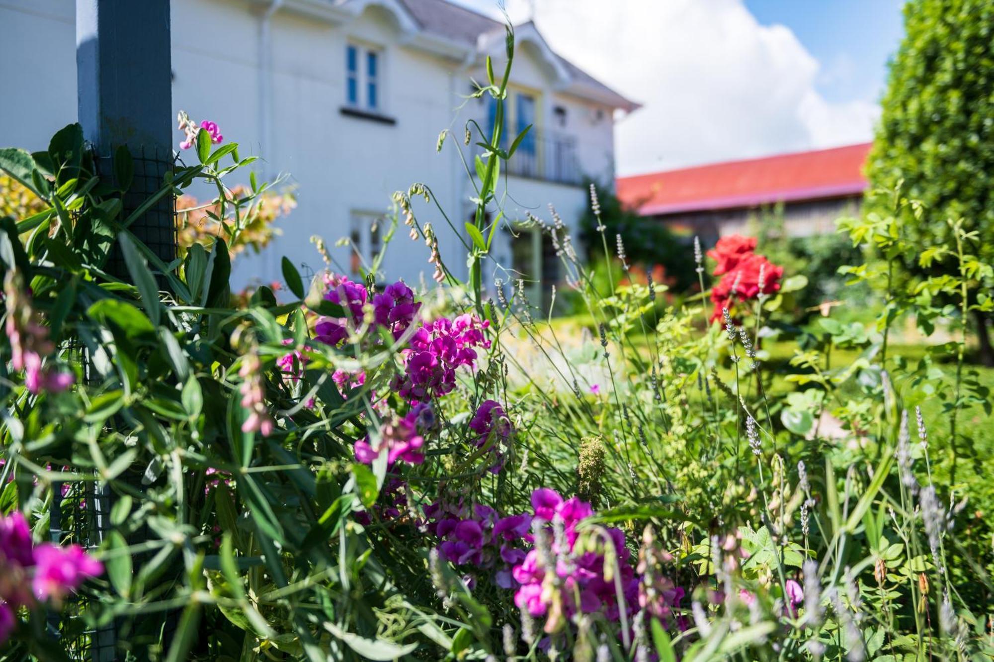 Ballyknocken Milking Parlour Self Catering Apartment Coolnakilly Exterior photo